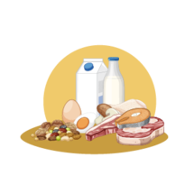 Protein DietSehat Tambah Massa Otot